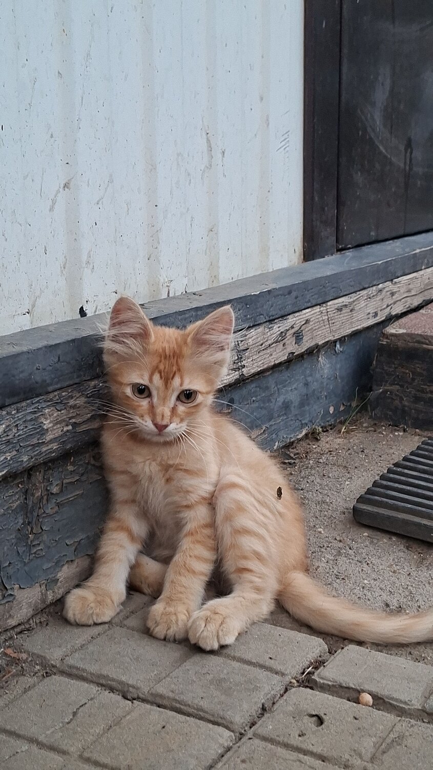 Photo #13812294
