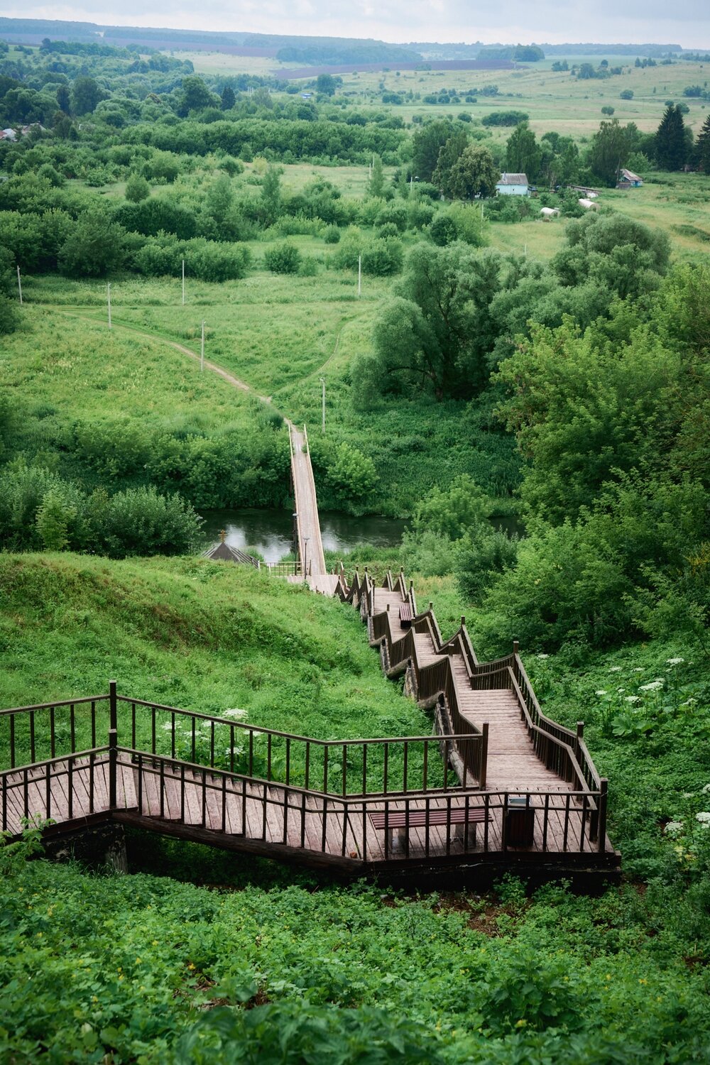 Photo #13812310