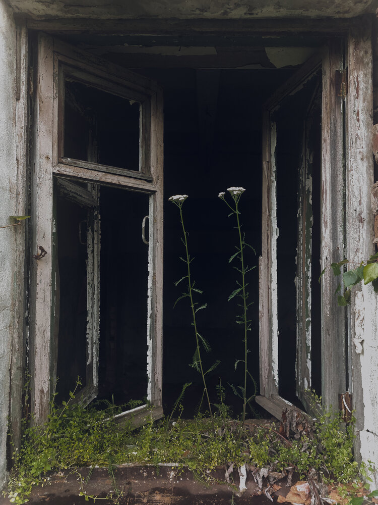 Photograph by Зульфия Вакилова