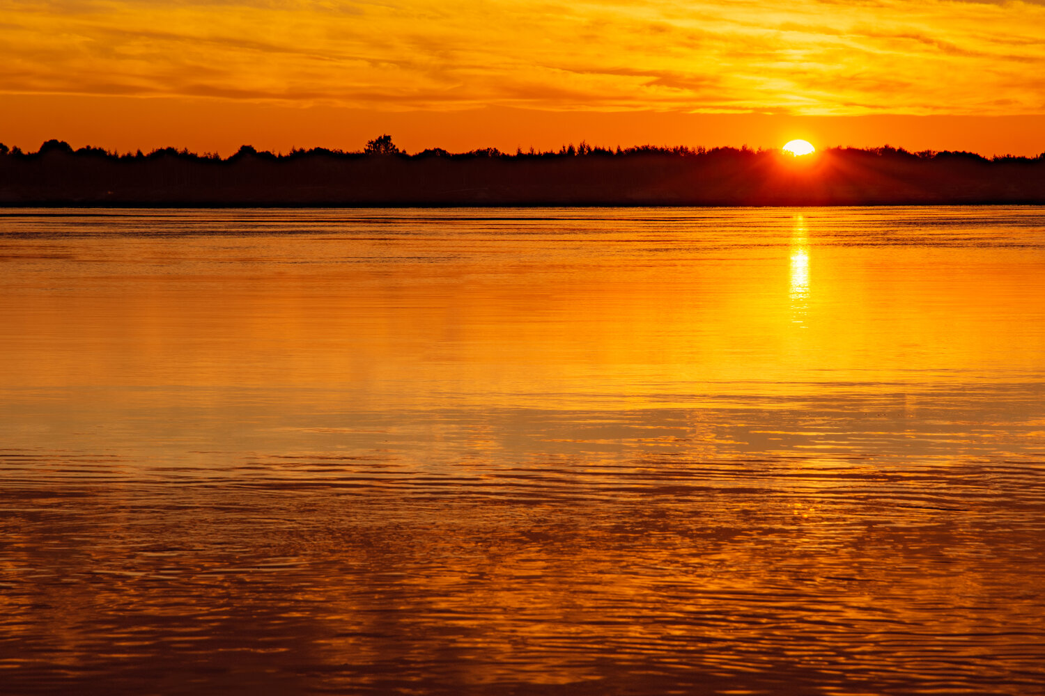 Photo #13812361