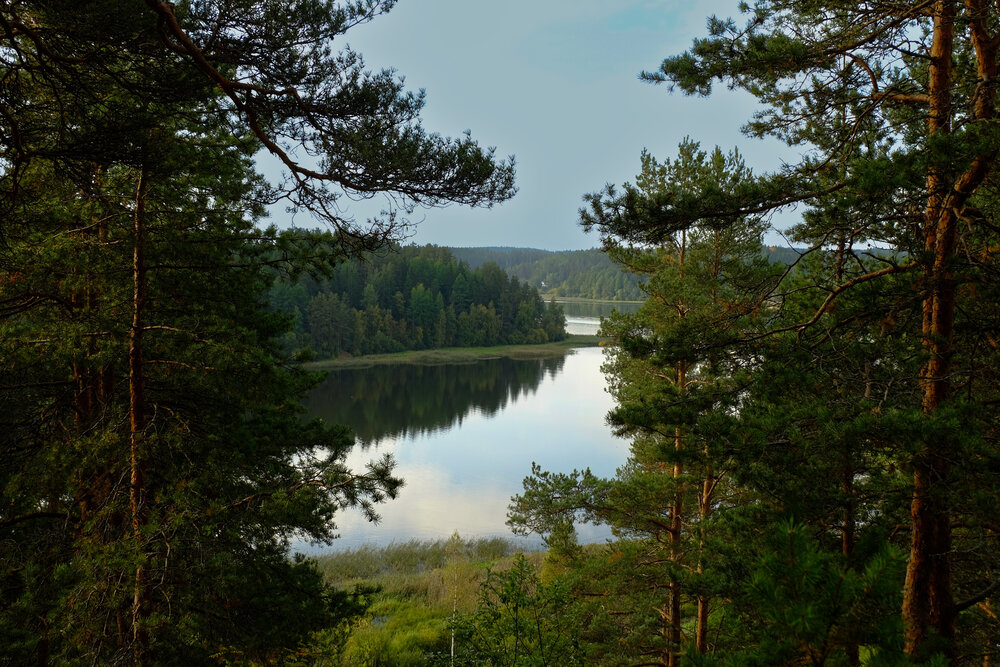 Photograph by Лариса Андреева