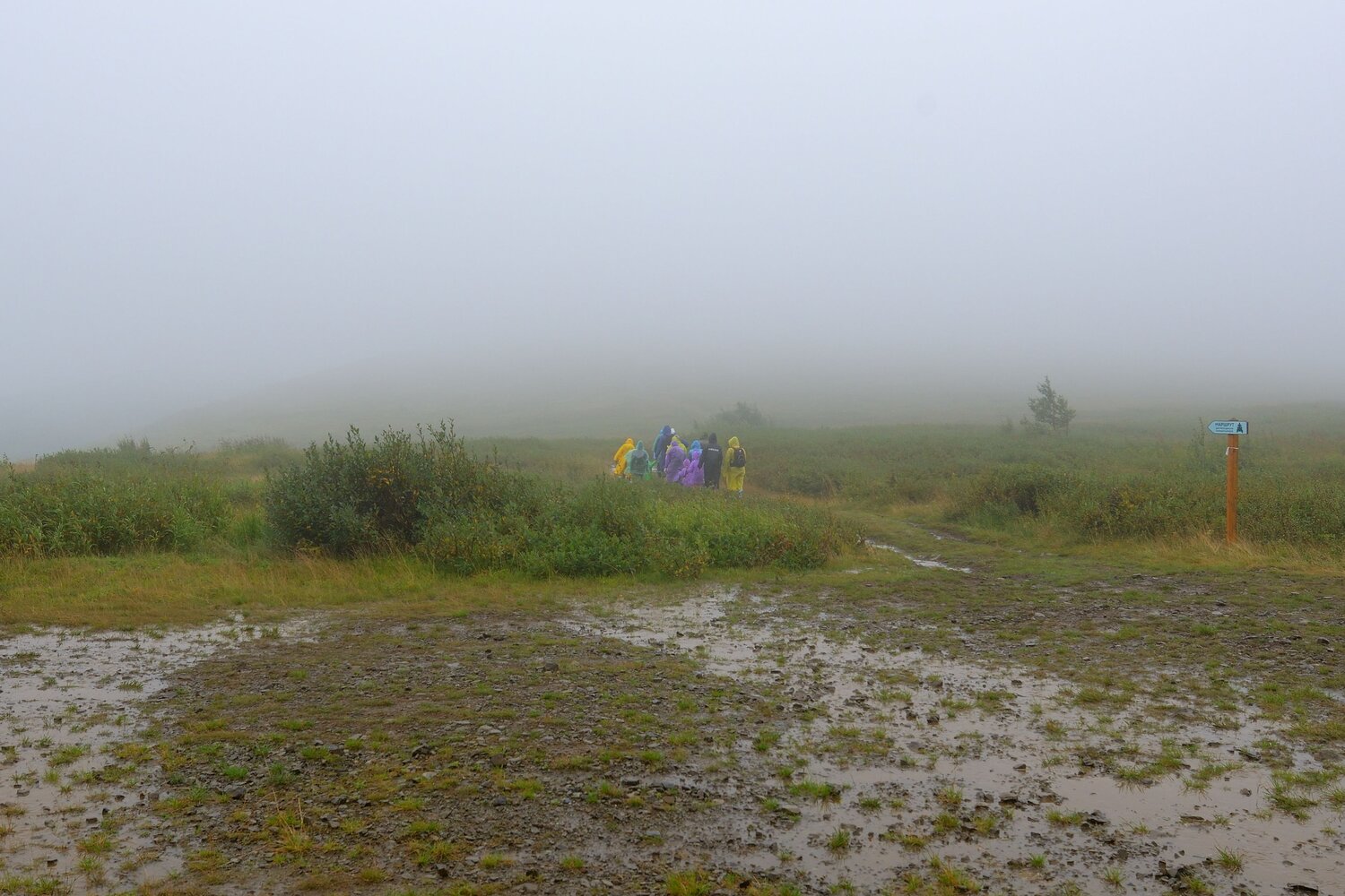 Photo #13812420