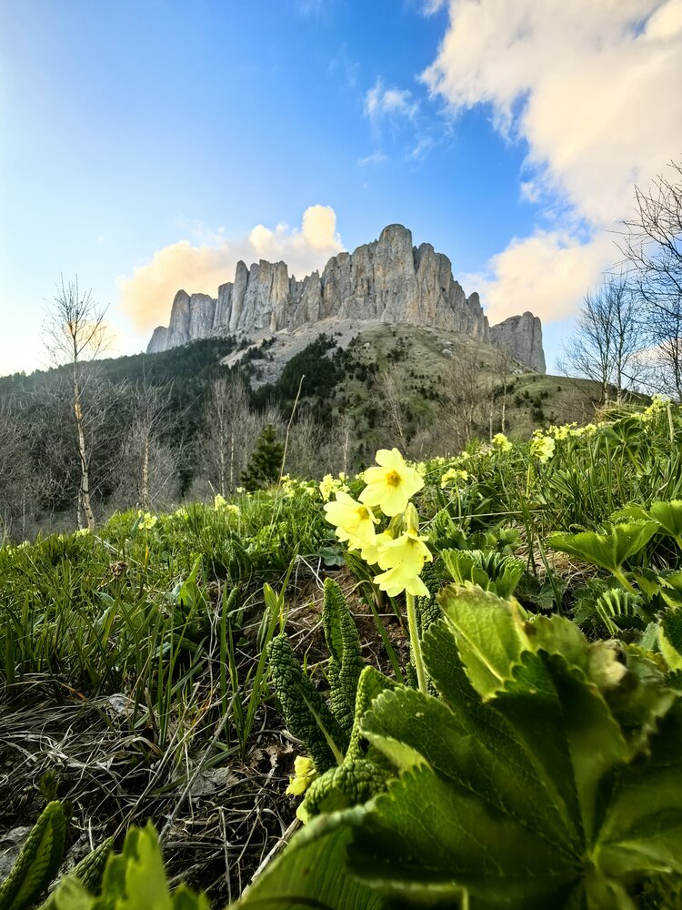 Photograph by Юлия Горелова