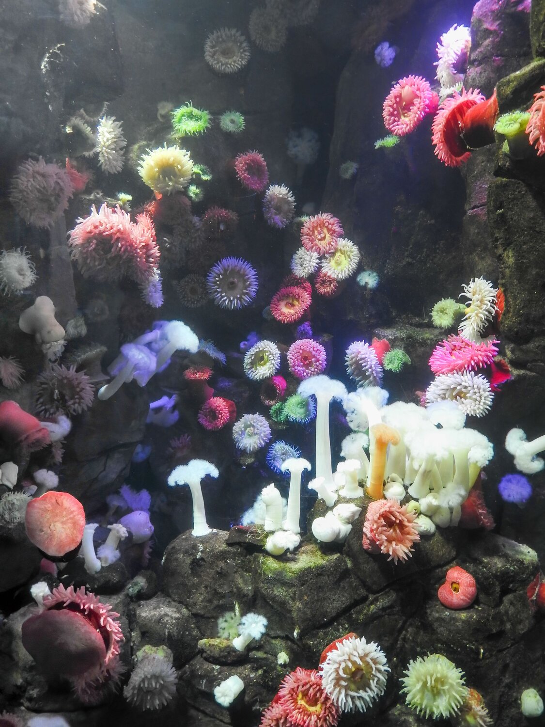 Photo #13812475
