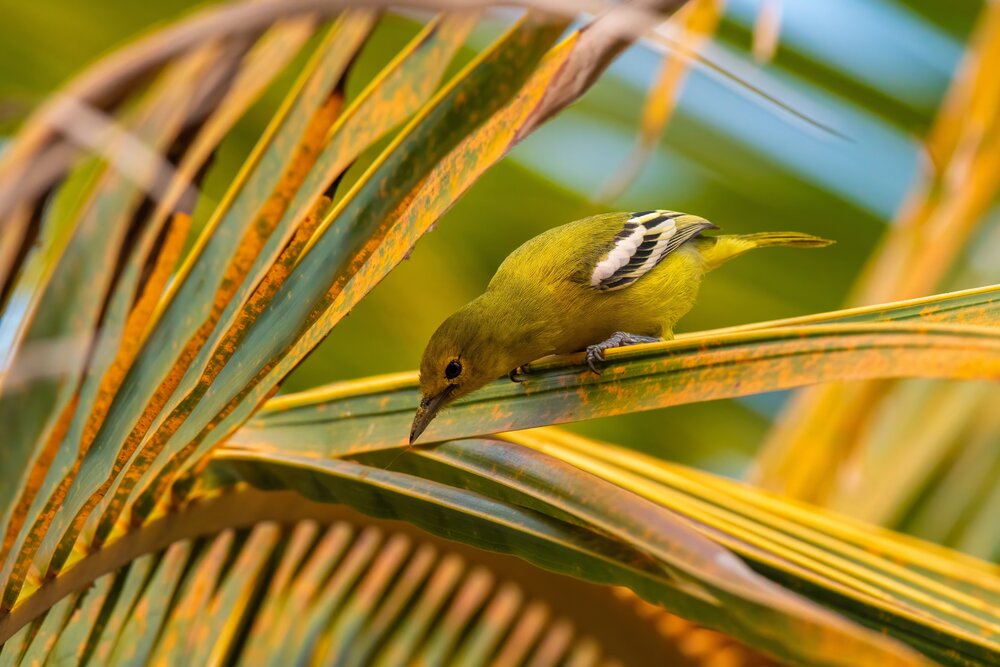 Photograph by Chaitanya Dudhalkar