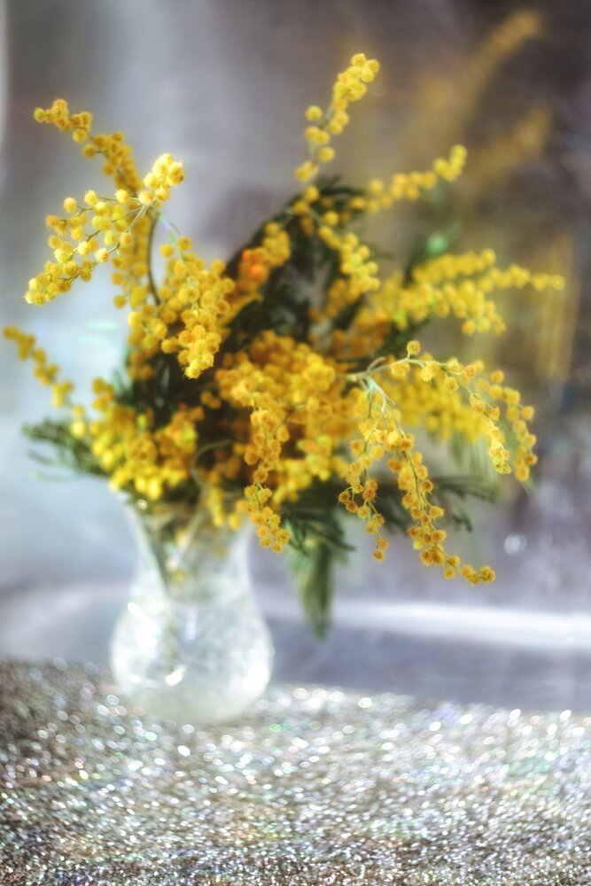 Photograph by Ekaterina Myr