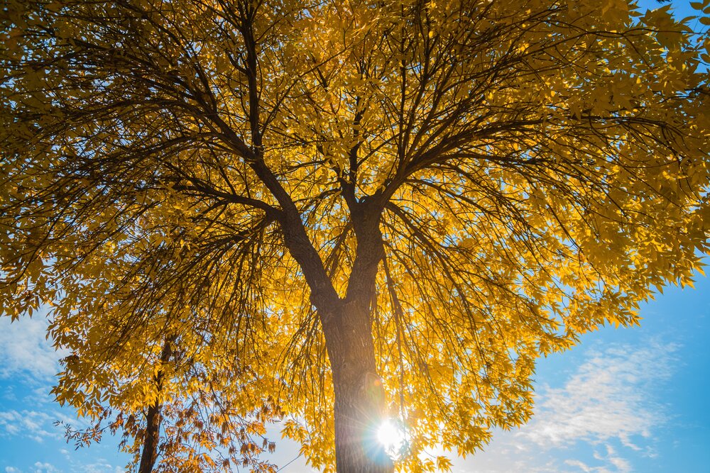 Photograph by Виктор Анциферов