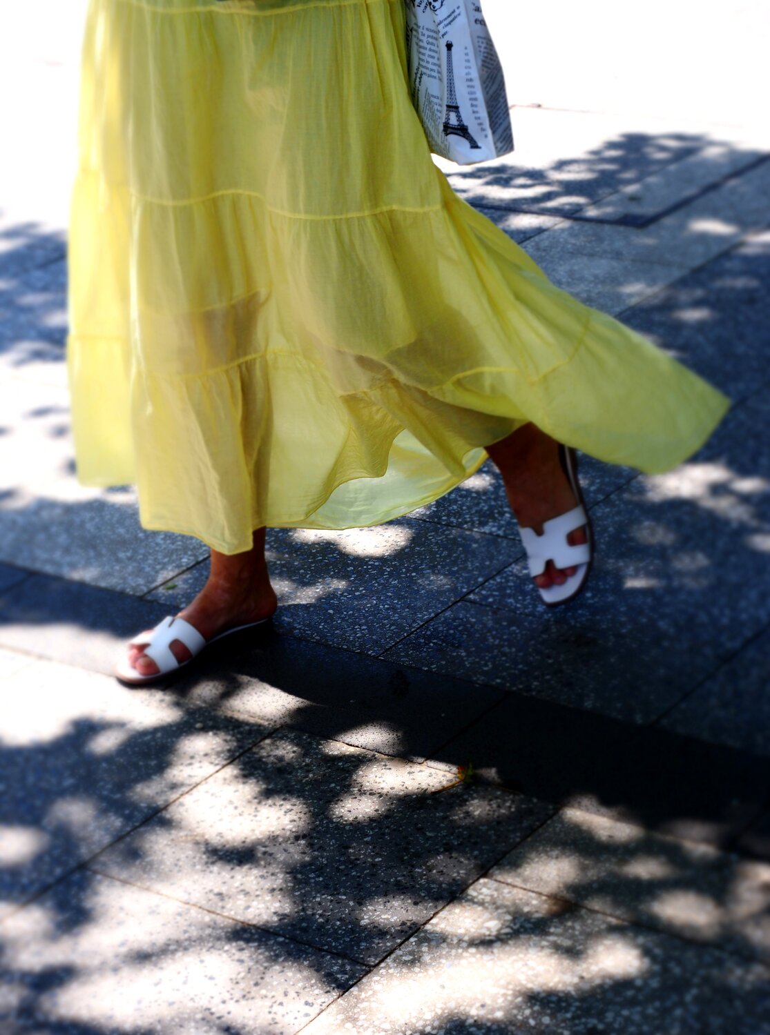 Photo #13812545