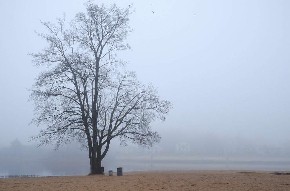 Photograph by Лариса Андреева