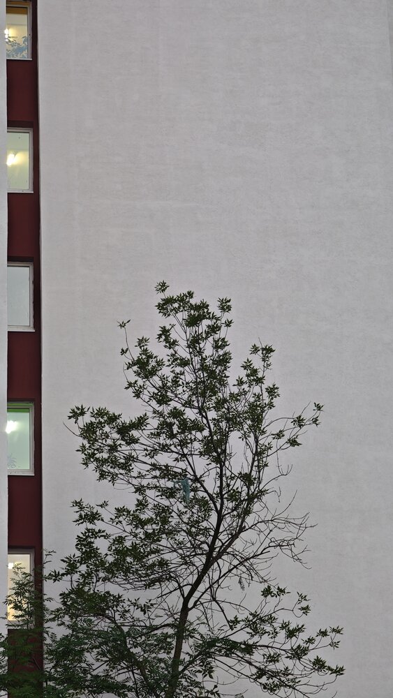Photograph by Хельга Крас