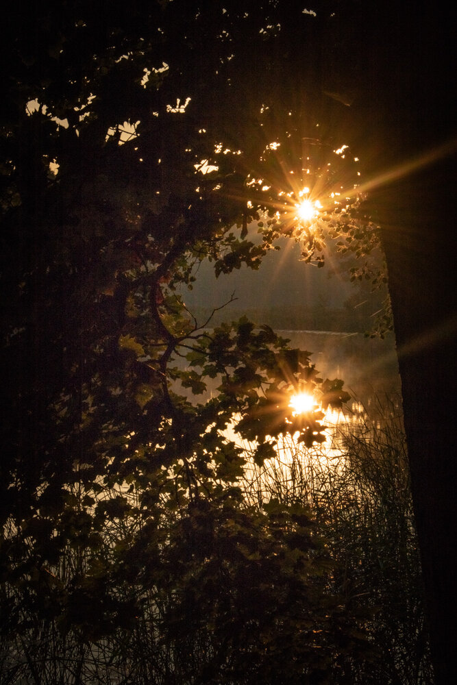Photograph by Виктория Трущенко