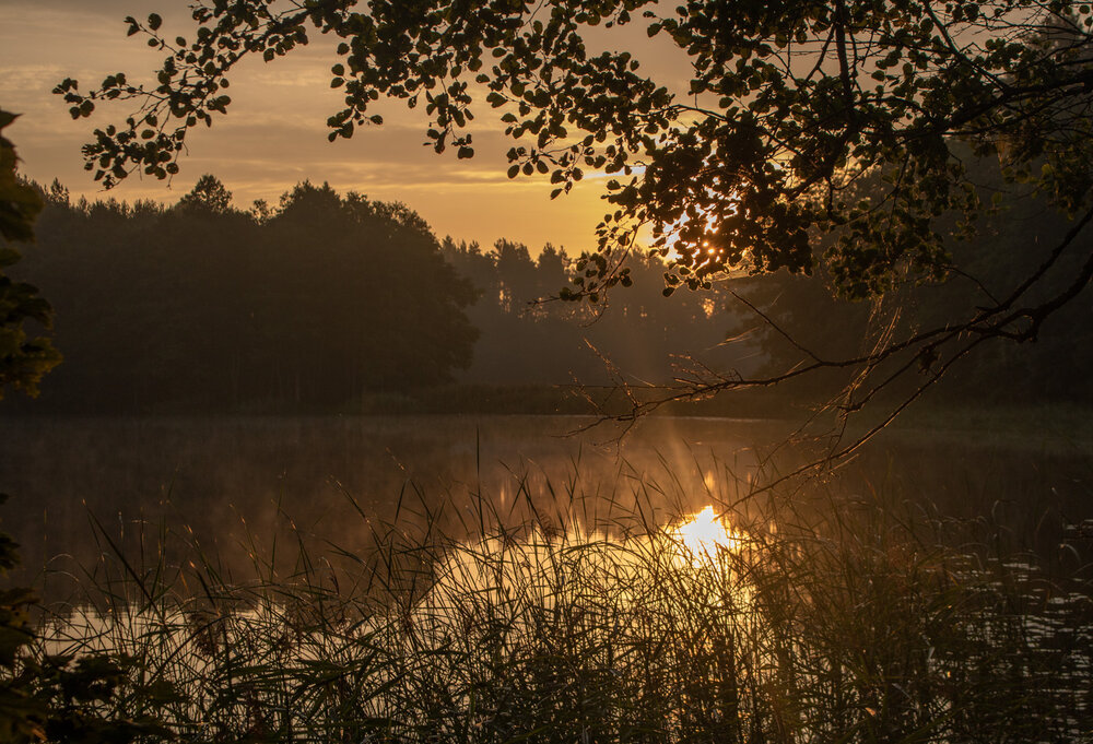 Photograph by Виктория Трущенко