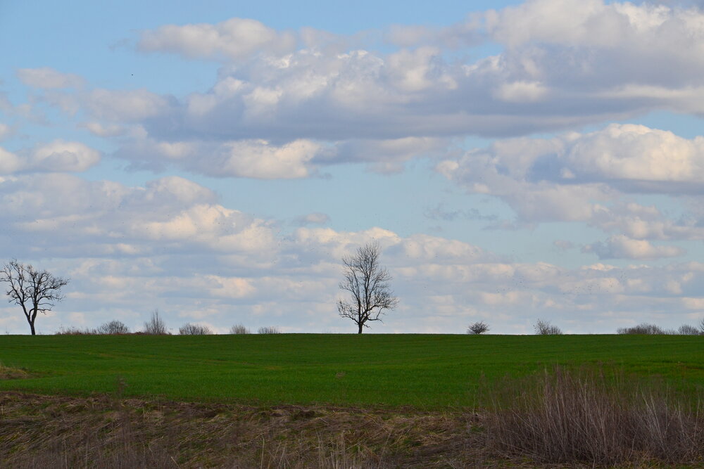 Photograph by Алина Николаева