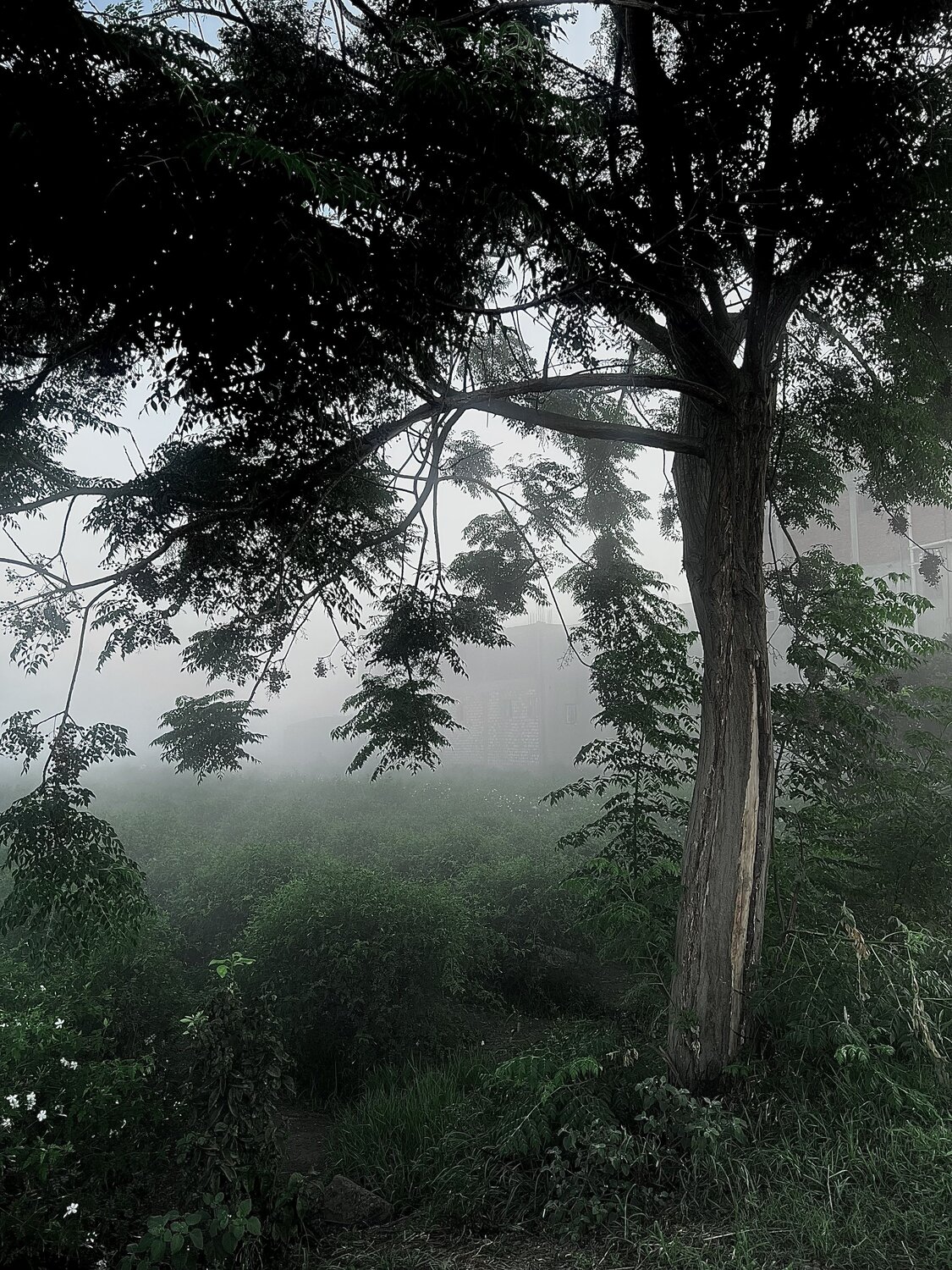Photo #13812676