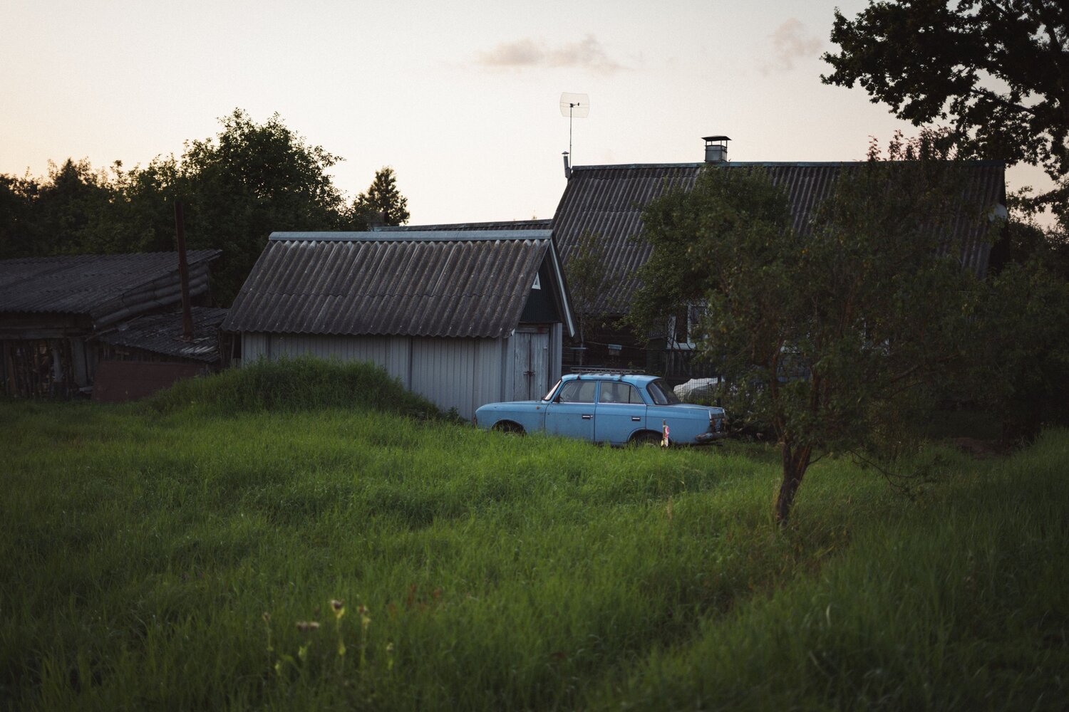 Photo #13812705