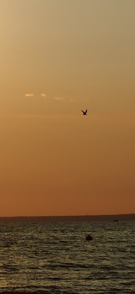 Photograph by Любовь Макарова