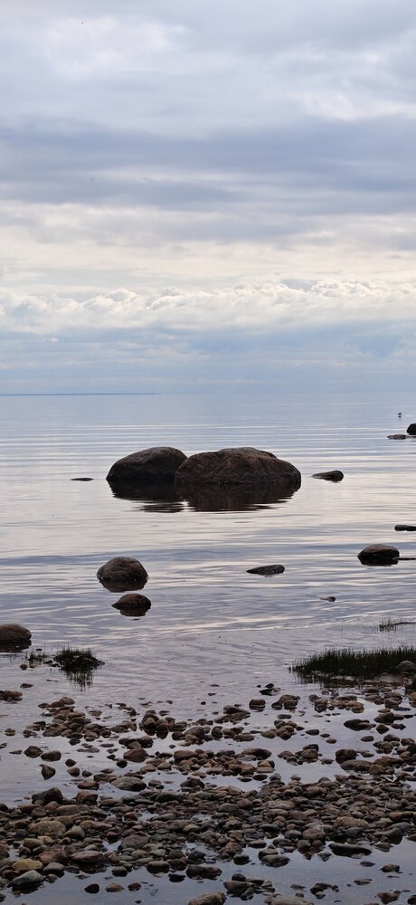 Photograph by Любовь Макарова