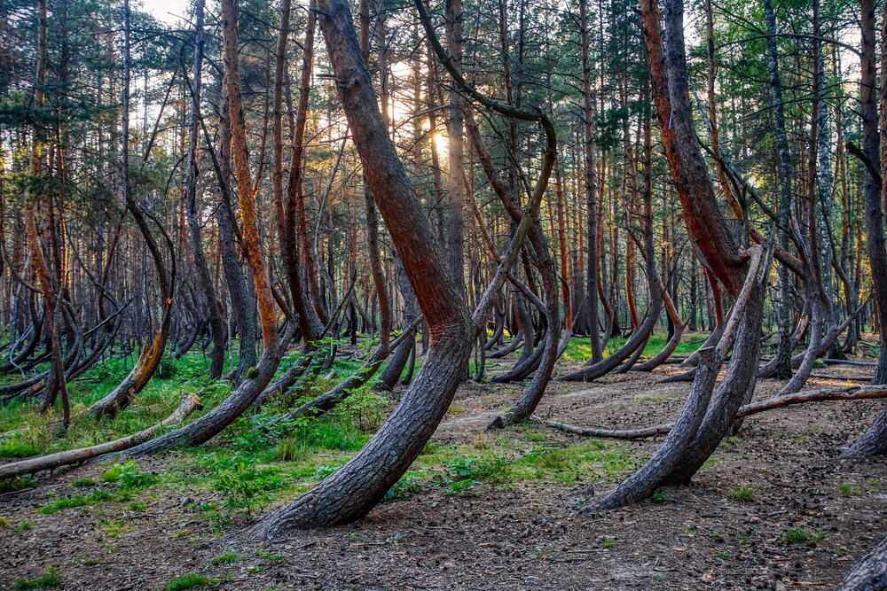 Photograph by Андрей Хитров