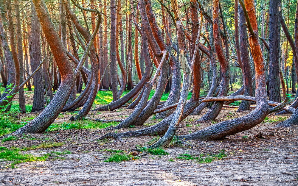 Photograph by Андрей Хитров