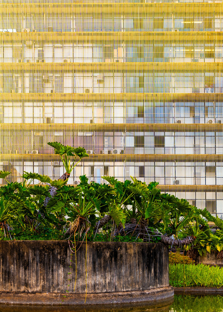 Photograph by FAVF