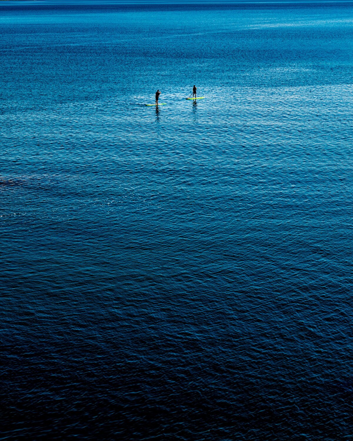 Photo #13812754