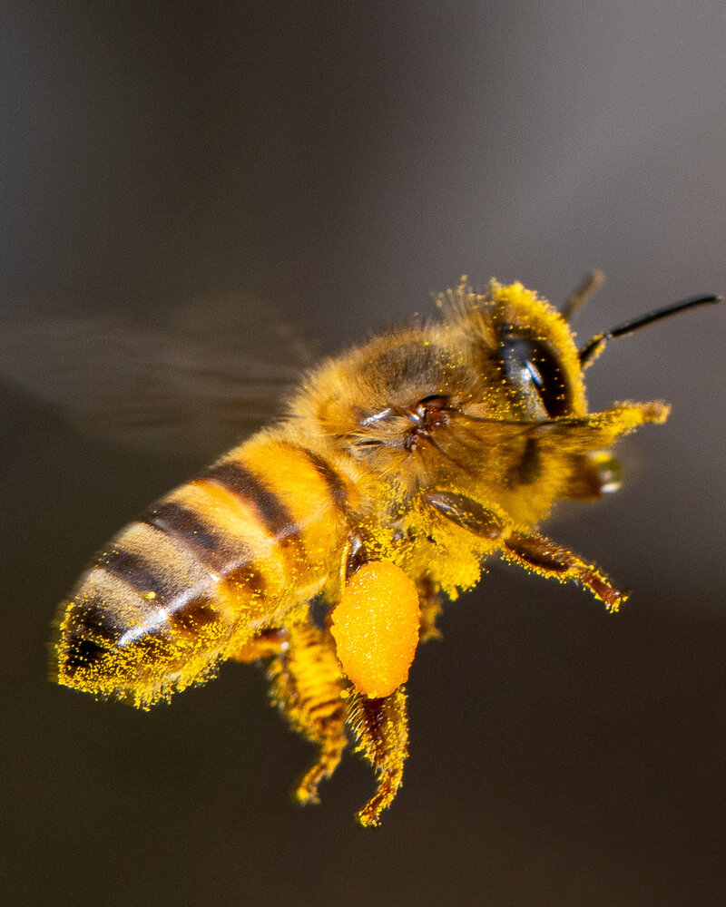 Photograph by Silvio José