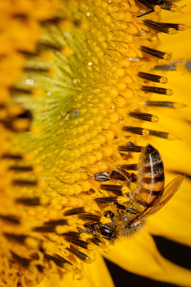 Photograph by Silvio José