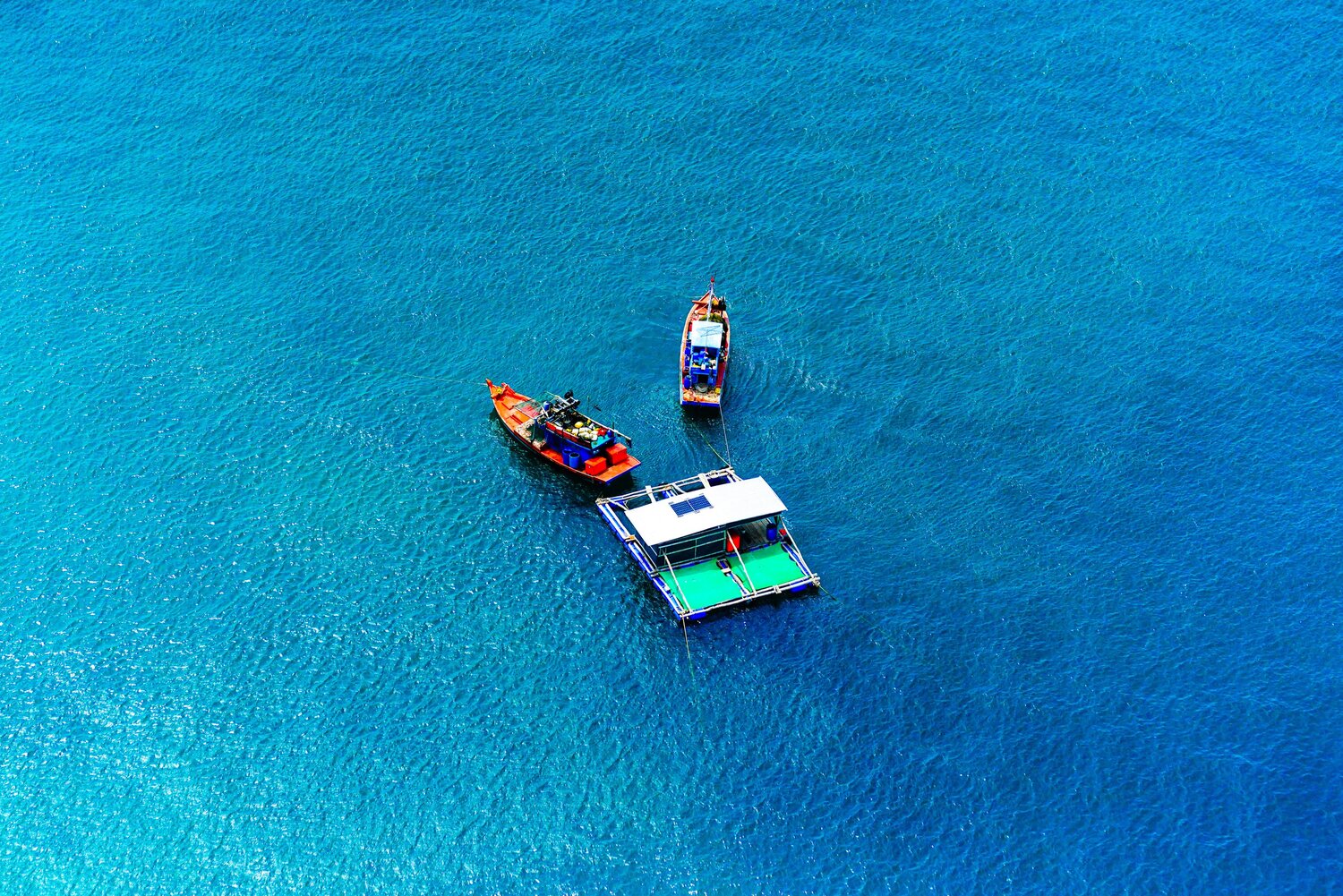 Blue Expanse
