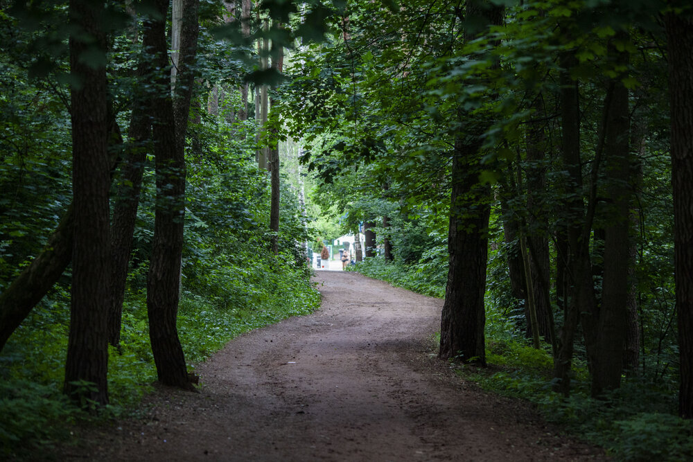 Photograph by Алексей Борисов