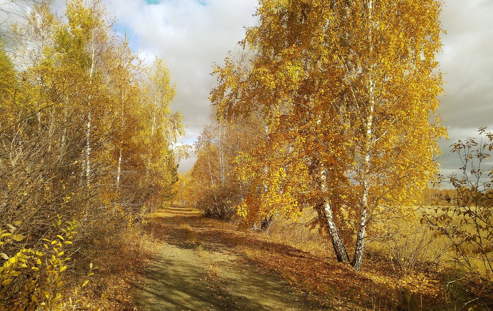 Фотография автора Марков Сергей