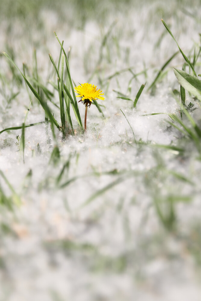 Photograph by Михаил Мак