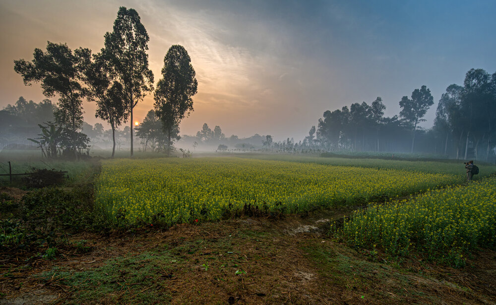 Photograph by sushovan sar