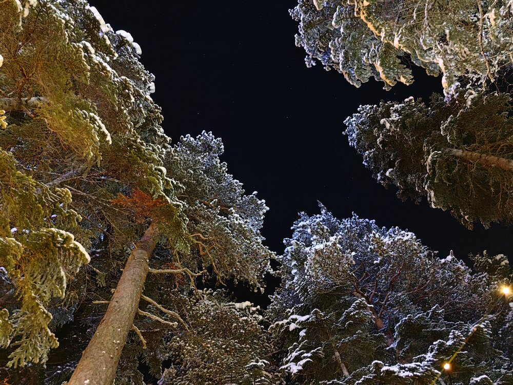 Photograph by Игорь Крыжко