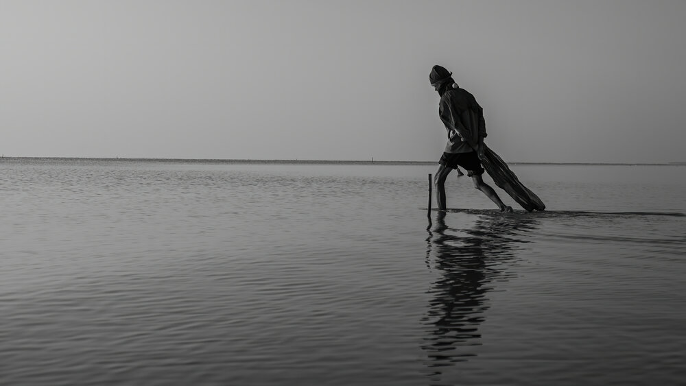 Photograph by sushovan sar