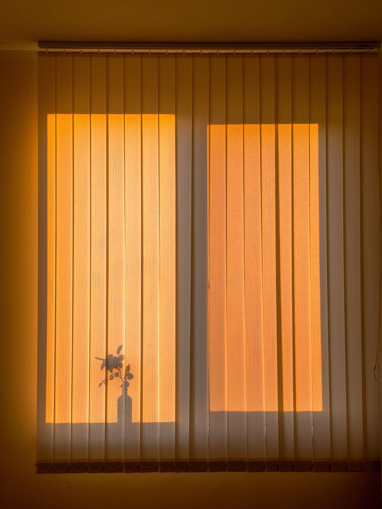 Photograph by Лилия Фролова