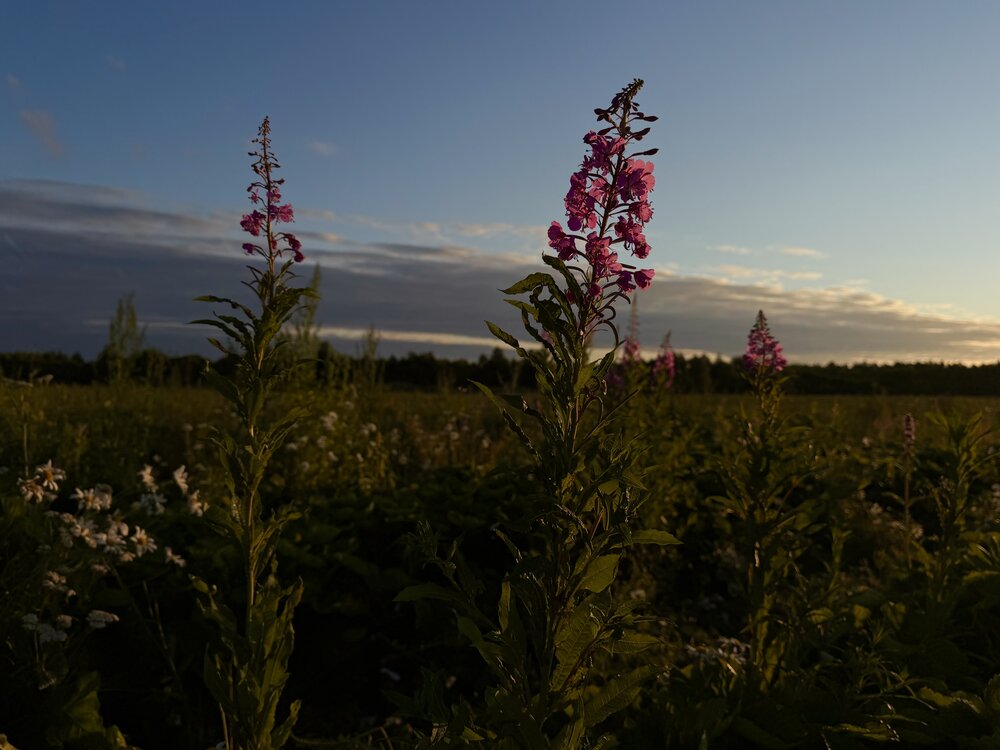 Photograph by Ксения Березкина