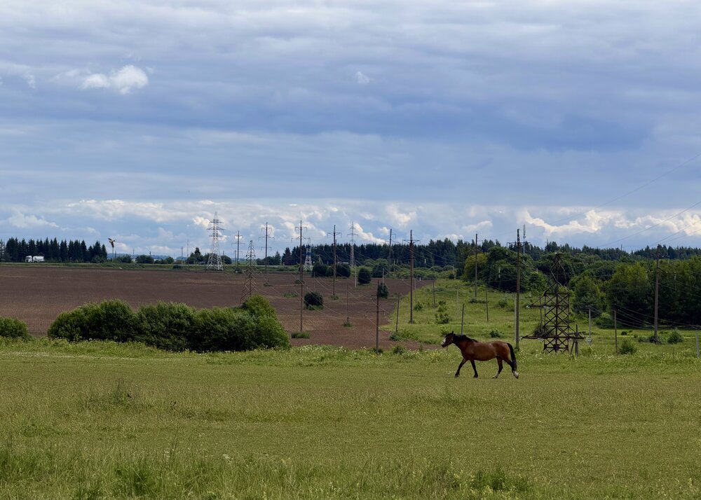 Photograph by Ксения Березкина