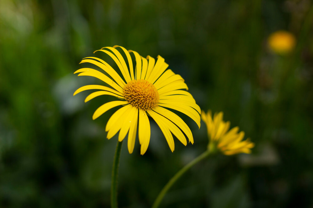 Photograph by Olga Buzuleva