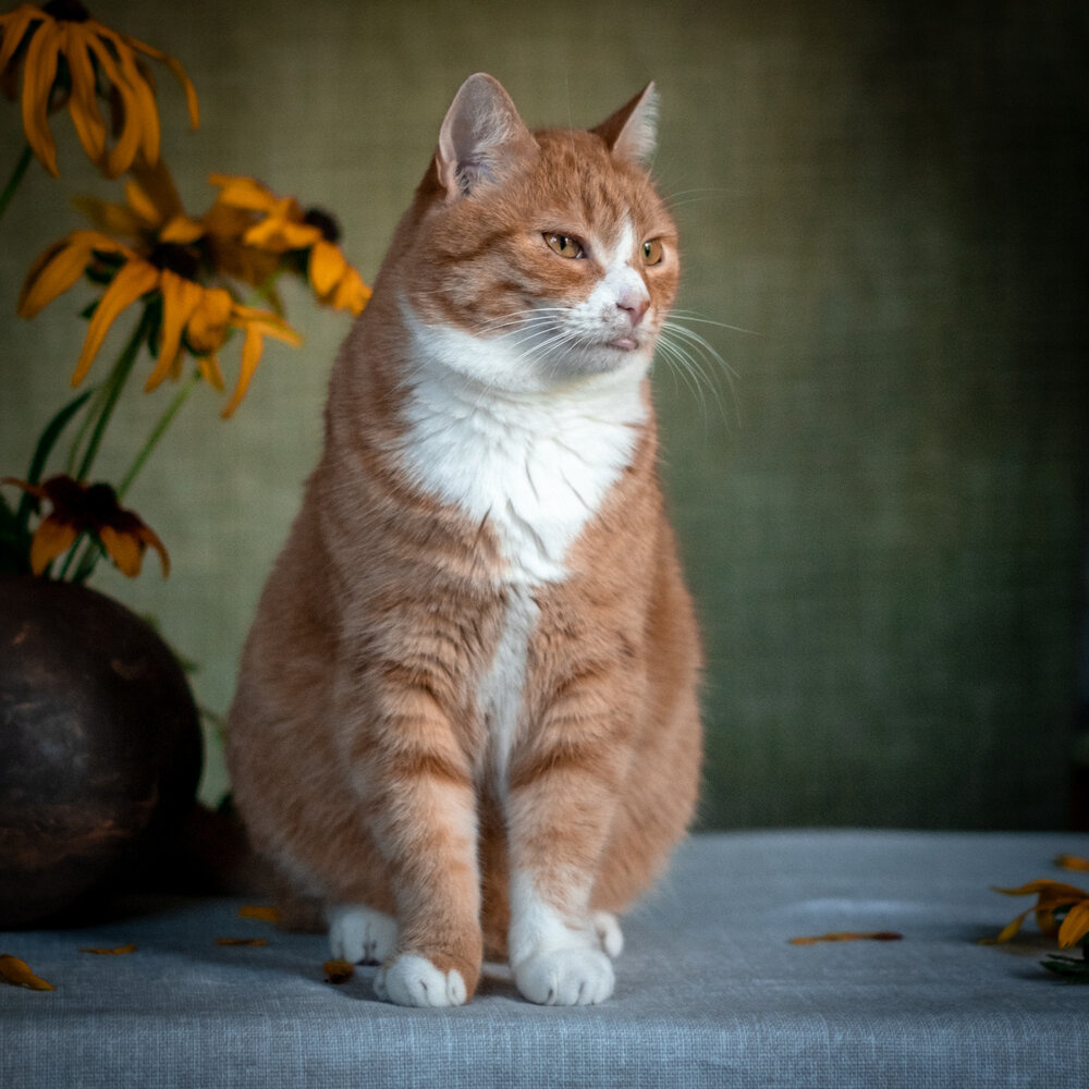 Photograph by Dina Damotseva