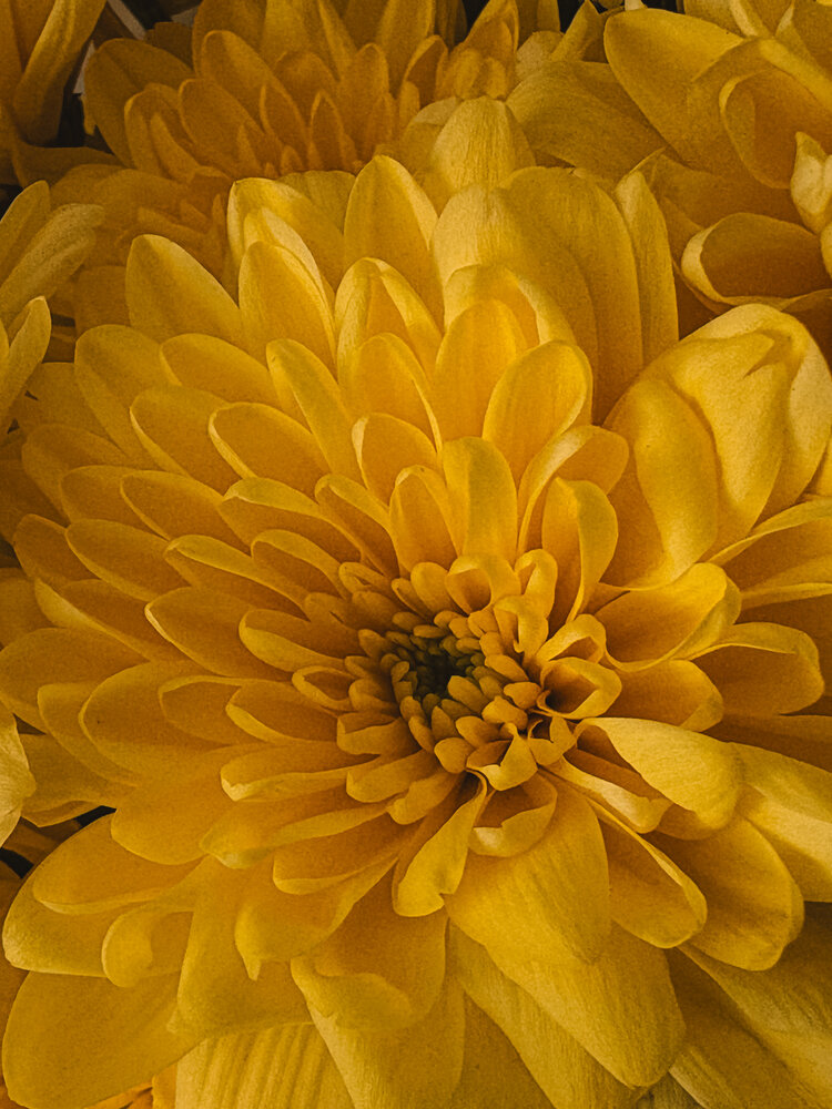 Photograph by Марина Харитонова