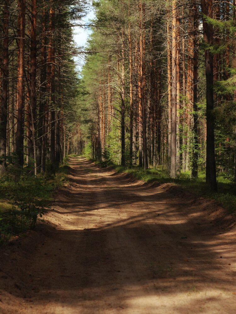 Photograph by Андрей Шестаков