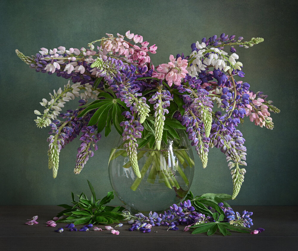 Photograph by Inna Ivanova