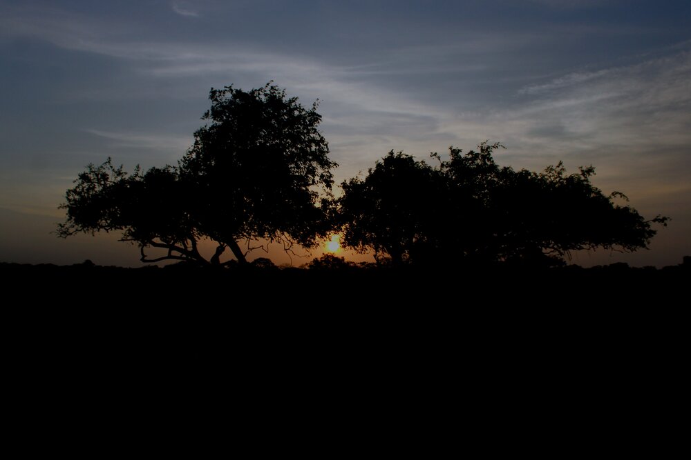 Landscape