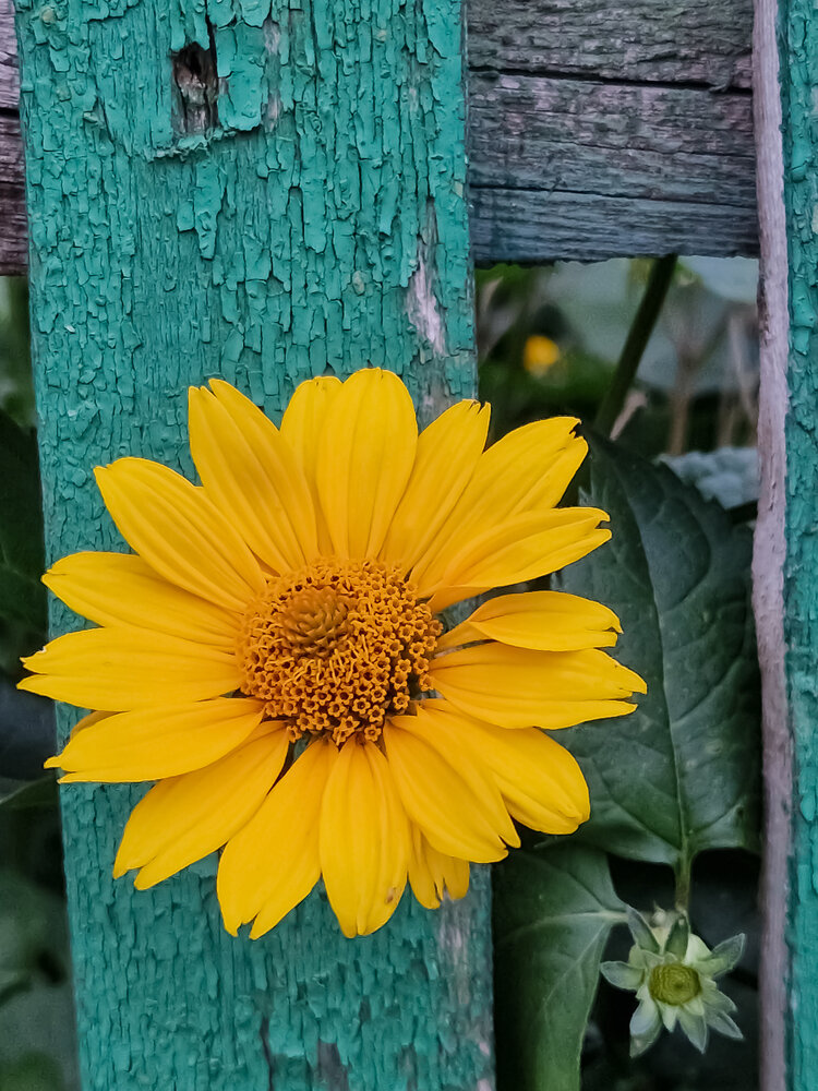 Photograph by Liudmila Kirillova