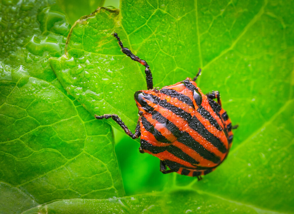 Photograph by Владимир Сковородников
