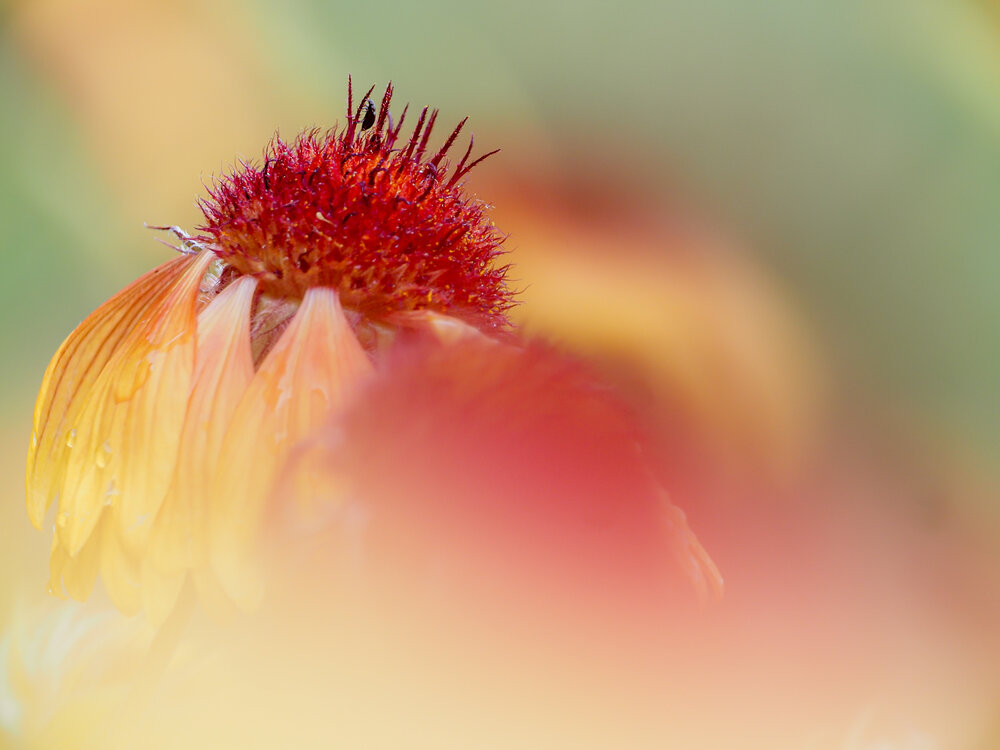 Photograph by Orsolya Eszter Nagy