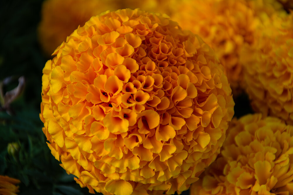 Photograph by Алексей Бузуев