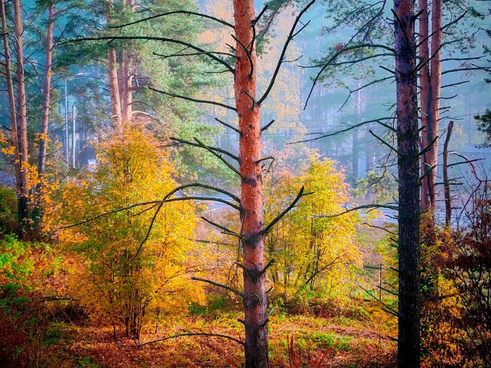Photograph by Юлия Иванова