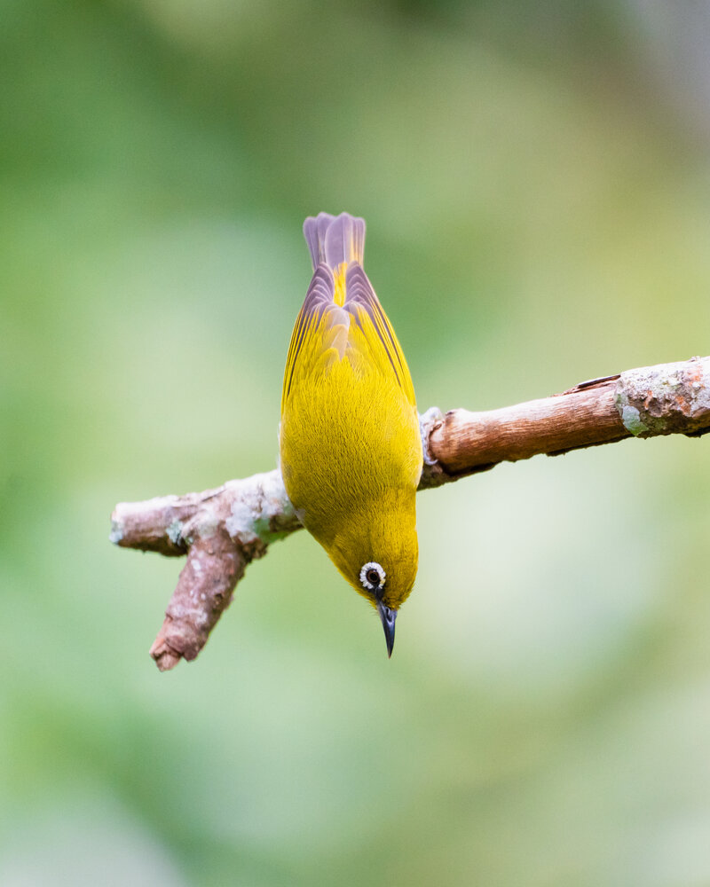 Photograph by Sathishkumar S