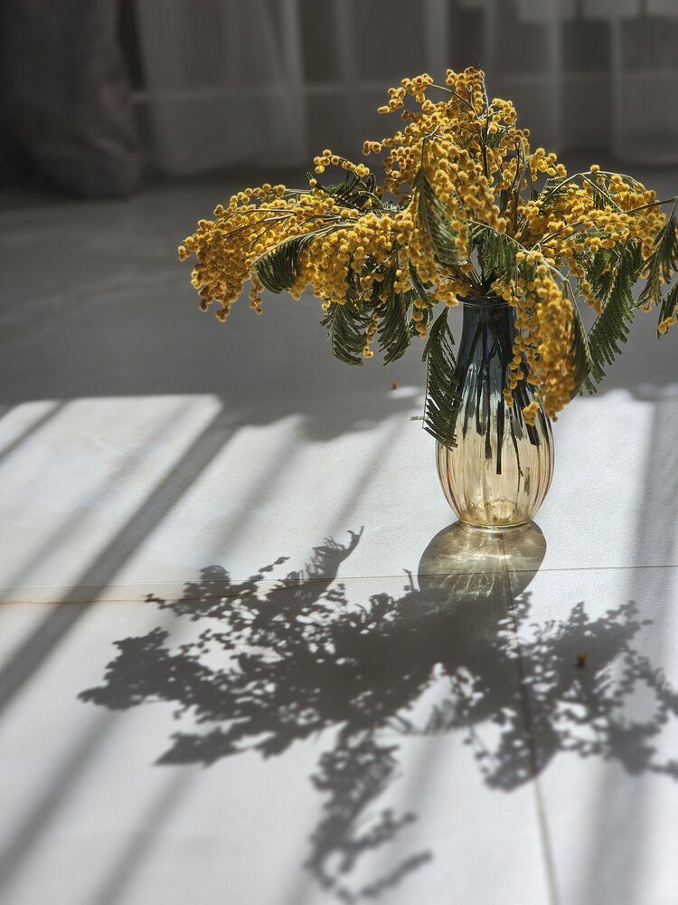 Photograph by Татьяна Небрат